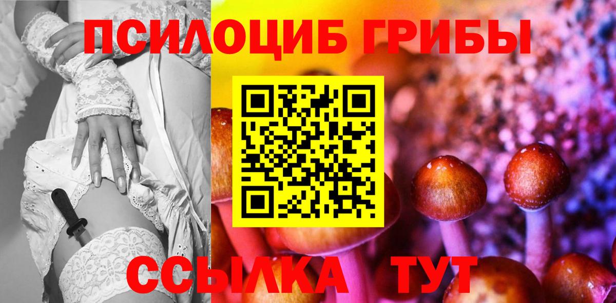 Советская Гавань  Галлюциногенные грибы Cubensis  Вход с VPN  Галлюциногенные грибы прущие грибы 